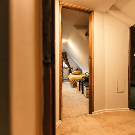 Jasinek زاكوباني